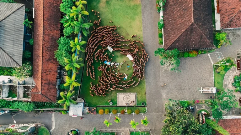 Where to Stay in Bali for First-Time Visitors (2025 Guide)